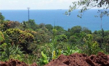 Venta: Terreno con vista al mar en Portobelo Hills