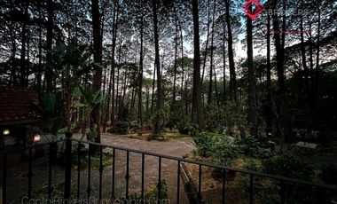 Cabaña en venta de Lujo Los cazos Mazamitla