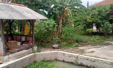 Rumah dan Sawah Luas Type 165 LT 854 M2 Citaman, Nagreg, Bandung Timur.