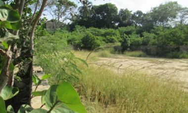 lote en venta en altos de pradomar. Cod V21368