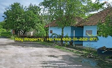 Disewakan Tanah di Marunda Cilincing 2.5 Ha Jakut