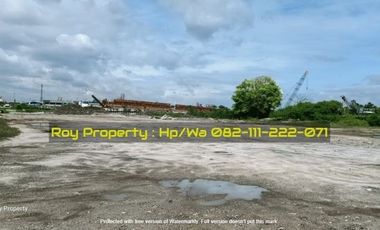 Disewakan Tanah di Marunda Cilincing 2.5 Ha Jakut