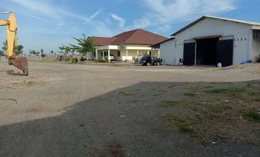 Tambak Udang Aktif & Produktif di Sambelia Lombok Timur NTB