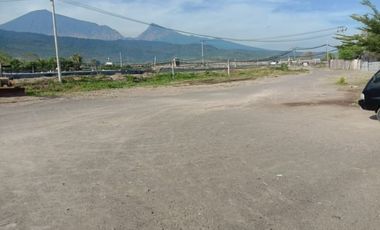 Tambak Udang Aktif & Produktif di Sambelia Lombok Timur NTB