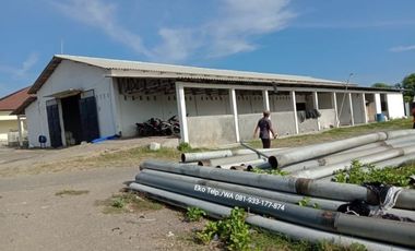 Tambak Udang Aktif & Produktif di Sambelia Lombok Timur NTB