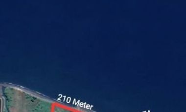 Tambak Udang Aktif & Produktif di Sambelia Lombok Timur NTB