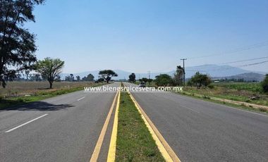 TERRENO EN VENTA EN TEQUISQUIAPAN ALONSO