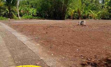 Tanah Kapling, Area Industri Batang