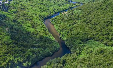 Sitio en Venta en Castro / Río Gamboa