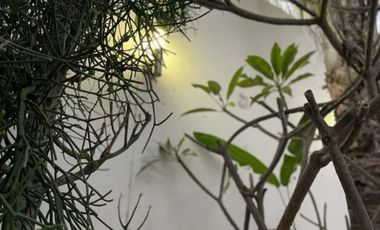 VIVE UNA EXPERIENCIA DIFERENTE, CASA EN RENTA EN JOCOTEPEC.