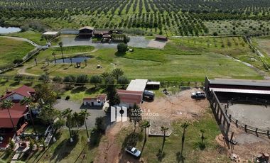 1.81 HA FRENTE A FINCA ALTOZANO EN VALLE DE GUADALUPE