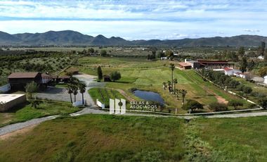 1.81 HA FRENTE A FINCA ALTOZANO EN VALLE DE GUADALUPE