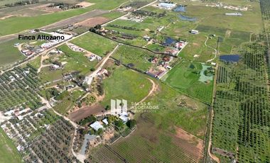 1.81 HA FRENTE A FINCA ALTOZANO EN VALLE DE GUADALUPE