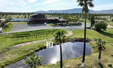 1.81 HA FRENTE A FINCA ALTOZANO EN VALLE DE GUADALUPE