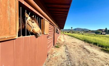 1.81 HA FRENTE A FINCA ALTOZANO EN VALLE DE GUADALUPE