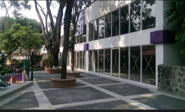 Plaza Cuernavaca