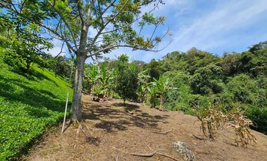 casa campestre en venta en bello cabecera municipal. Cod V25746