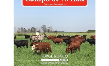 Campo en venta en Brandsen. 75 Has mixto