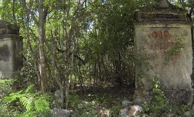 Hacienda en venta en   