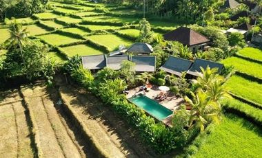 VILLA DIKONTRAKAN DI UBUD BALI DENGAN 5 KAMAR DAN VIEW SAWAH