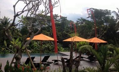 VILLA DIKONTRAKAN DI UBUD BALI DENGAN 5 KAMAR DAN VIEW SAWAH