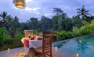 VILLA DIKONTRAKAN DI UBUD BALI DENGAN 5 KAMAR DAN VIEW SAWAH