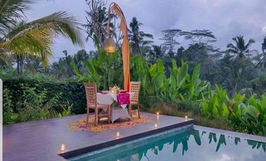 VILLA DIKONTRAKAN DI UBUD BALI DENGAN 5 KAMAR DAN VIEW SAWAH