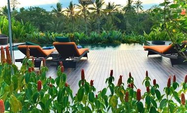 VILLA DIKONTRAKAN DI UBUD BALI DENGAN 5 KAMAR DAN VIEW SAWAH
