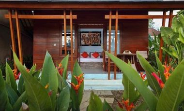 VILLA DIKONTRAKAN DI UBUD BALI DENGAN 5 KAMAR DAN VIEW SAWAH