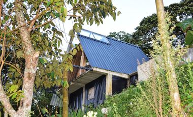 FINCA EN VENTA SAMANA CALDAS