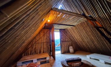 FINCA EN VENTA SAMANA CALDAS