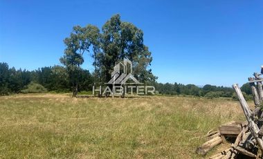 Agrícola en Venta en Ruta 5 Sur Munilque