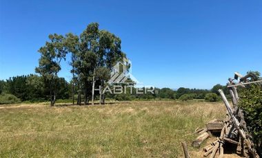 Agrícola en Venta en Ruta 5 Sur Munilque