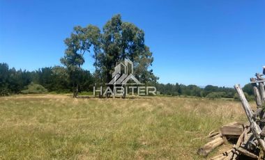 Agrícola en Venta en Ruta 5 Sur Munilque