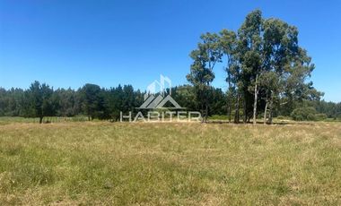 Agrícola en Venta en Ruta 5 Sur Munilque