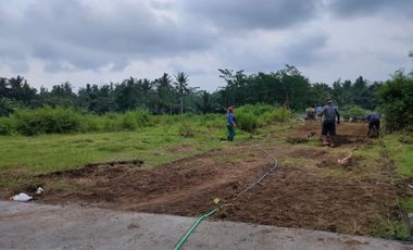 Tanah Dijual Purworejo Kawasan Ekonomi Khusus Daendels