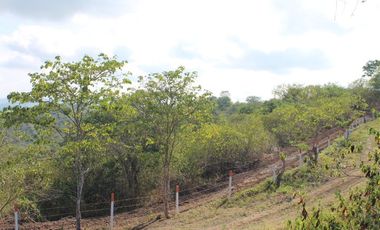 Se Vende Terreno para Construcción Cerca del Mar en Manglaralto