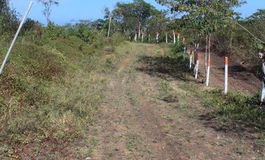 Se Vende Terreno para Construcción Cerca del Mar en Manglaralto