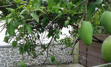 Rumah View Bagus Tanah Luas di Permana Citeureup Cimahi