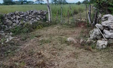 Venta de terreno en Suma de Hidalgo, Yucatán. Ideal para Rancho y cultivos