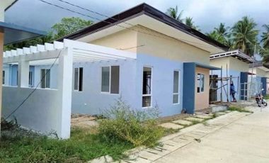 House and Lot for Sale in Balamban Cebu