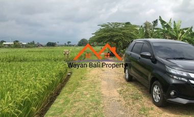 Tanah Dekat Pantai Pasut Tabanan Bali