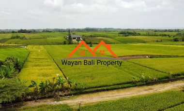 Tanah Dekat Pantai Pasut Tabanan Bali