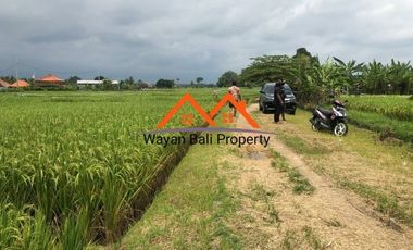 Tanah Dekat Pantai Pasut Tabanan Bali