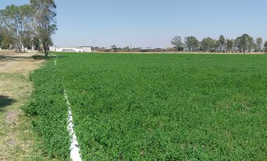 RANCHO EN VENTA CON POZO PROPIO