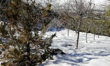 Parcela en Venta en SECTOR LA INVERNADA