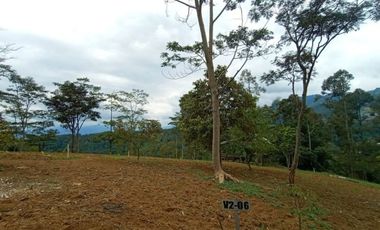 Mau Berkebun Tapi Bingung Mengelolanya? Serahkan Saja Pada Kami