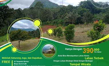 Mau Berkebun Tapi Bingung Mengelolanya? Serahkan Saja Pada Kami