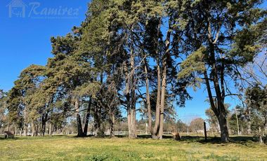 Lote Terreno  En Venta 840 m2 - Parques del Morenito, Moreno Norte