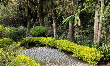 PASEO DE LA REFORMA LOMAS DE CHAPULTEPEC EN RENTA CON O SIN MUEBLES
